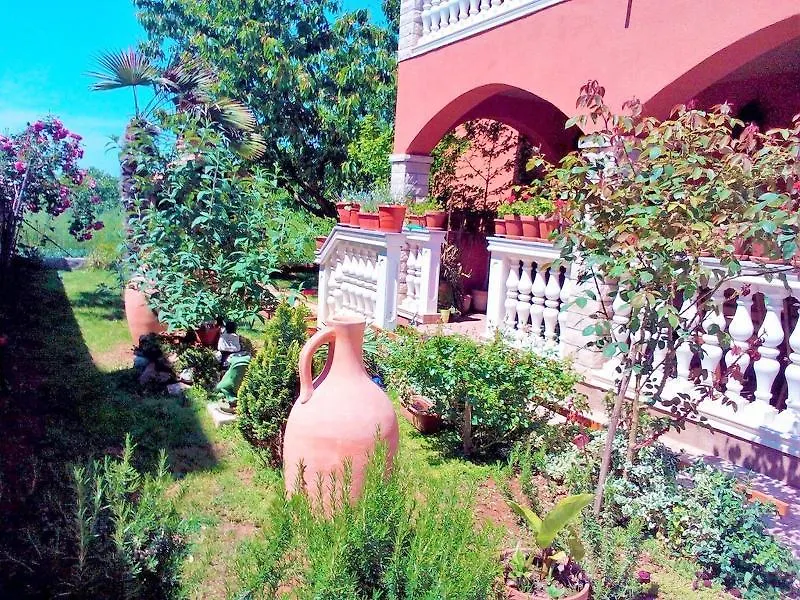 Apartments Anto Pula